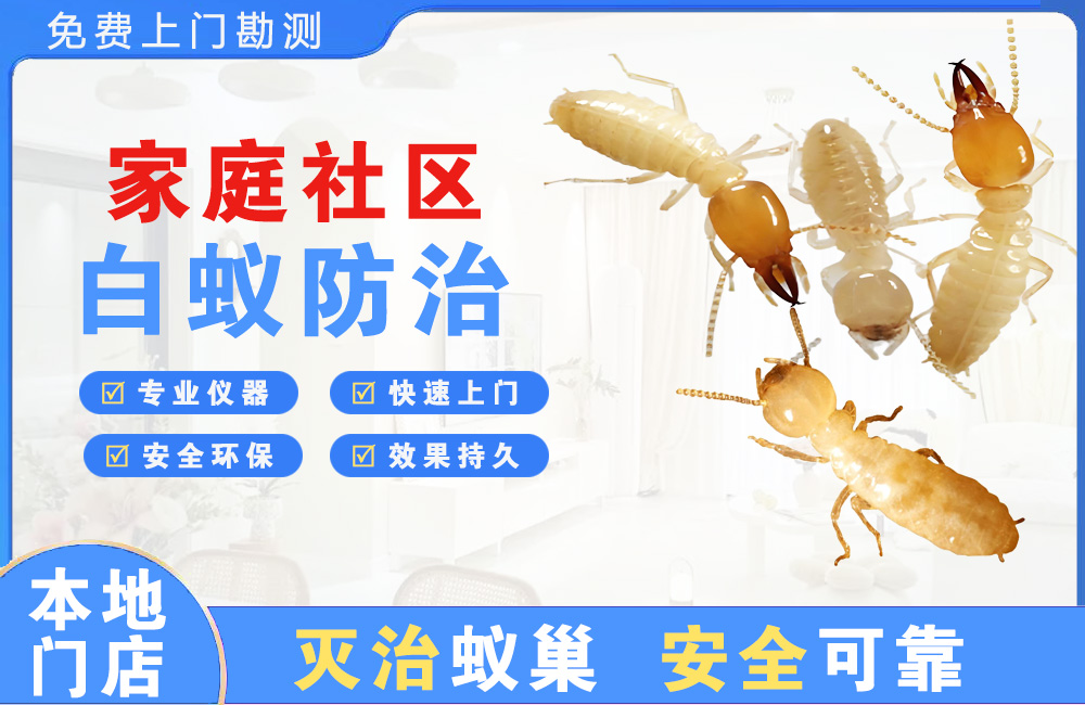 红河家庭社区白蚁防治