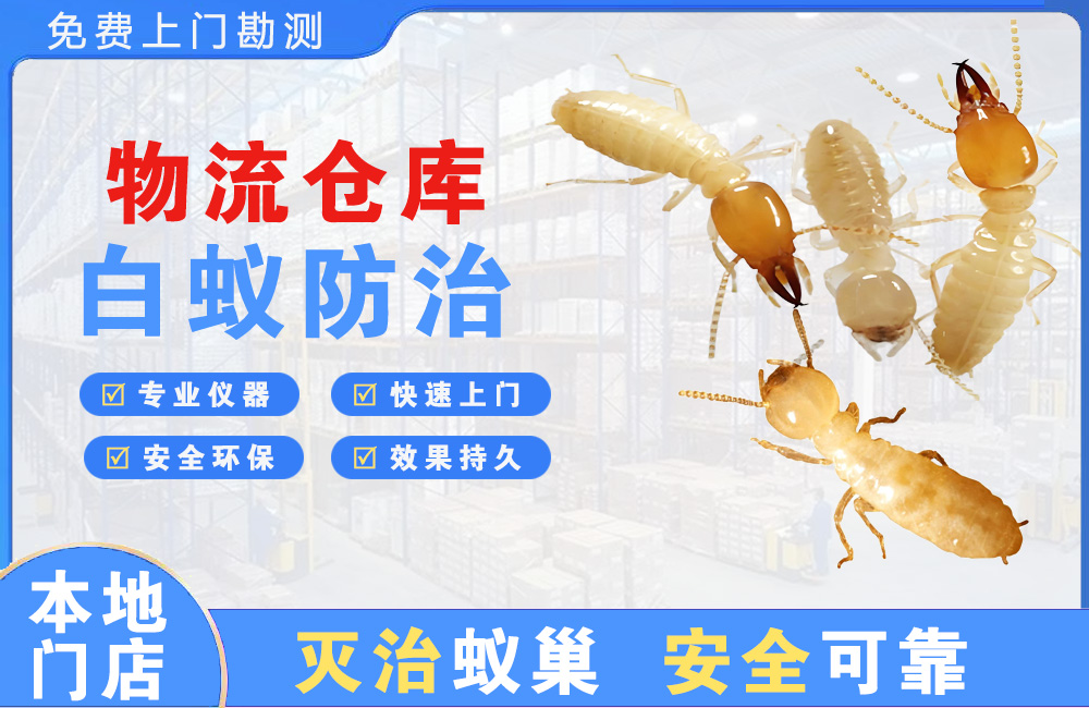 红河物流仓库白蚁防治