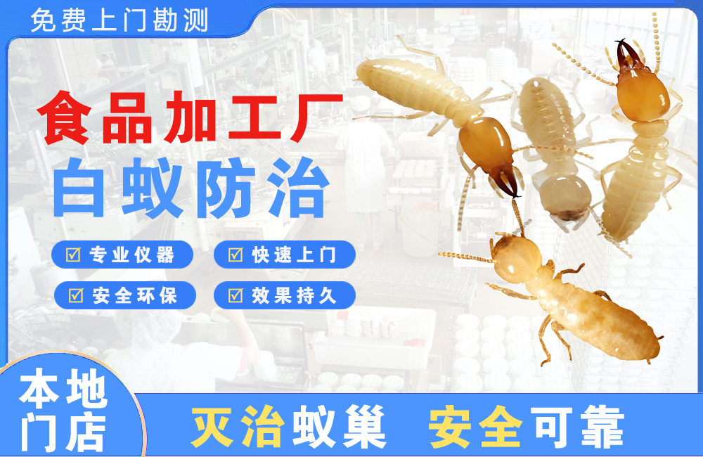 红河食品加工厂白蚁防治