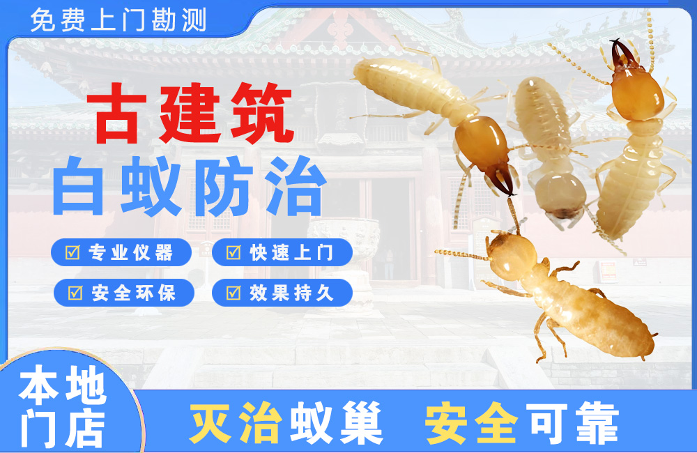 红河古建筑白蚁防治