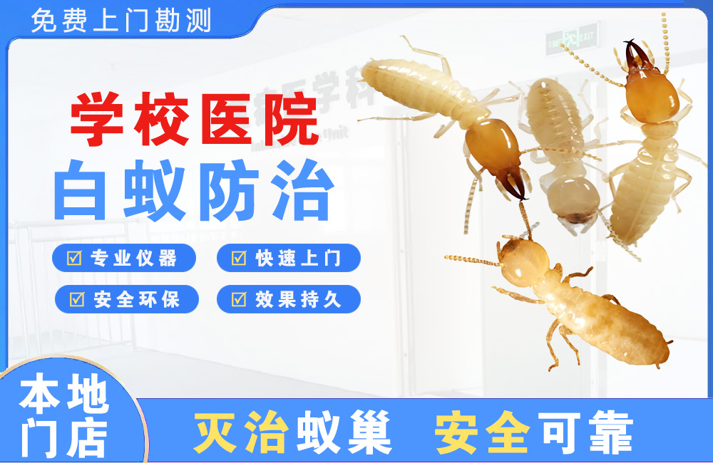 红河学校医院白蚁防治
