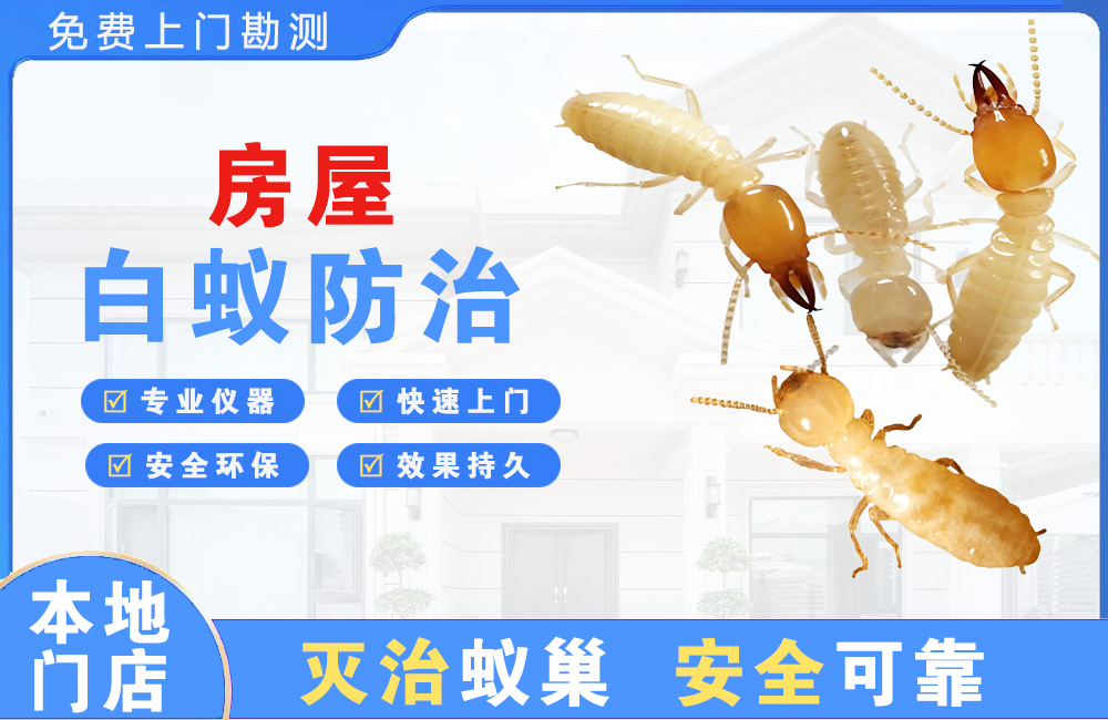 红河房屋白蚁防治