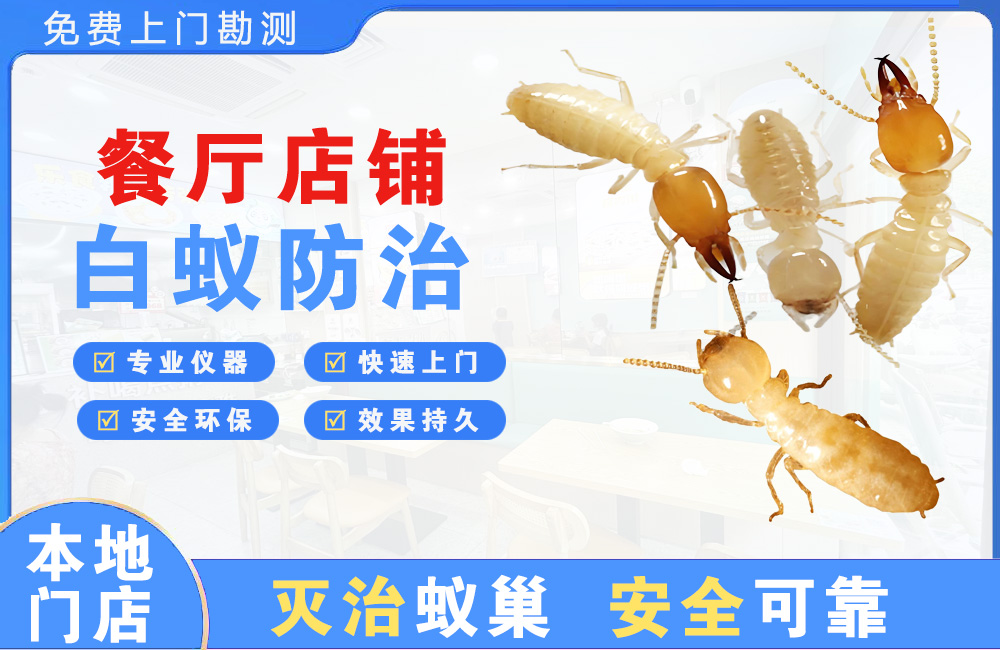 红河餐厅店铺白蚁防治